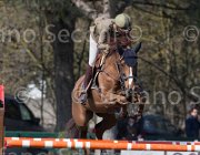 Vizzini Quinta Roo TosTour2013- S5 2570 : Arezzo, Arezzo Equestrian Centre, Quinta Roo, Toscana Tour 2013, Vizzini Lucia, foto di Stefano Secchi ©
